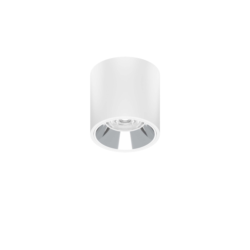 91.10012 CLA Surface Mounted Light