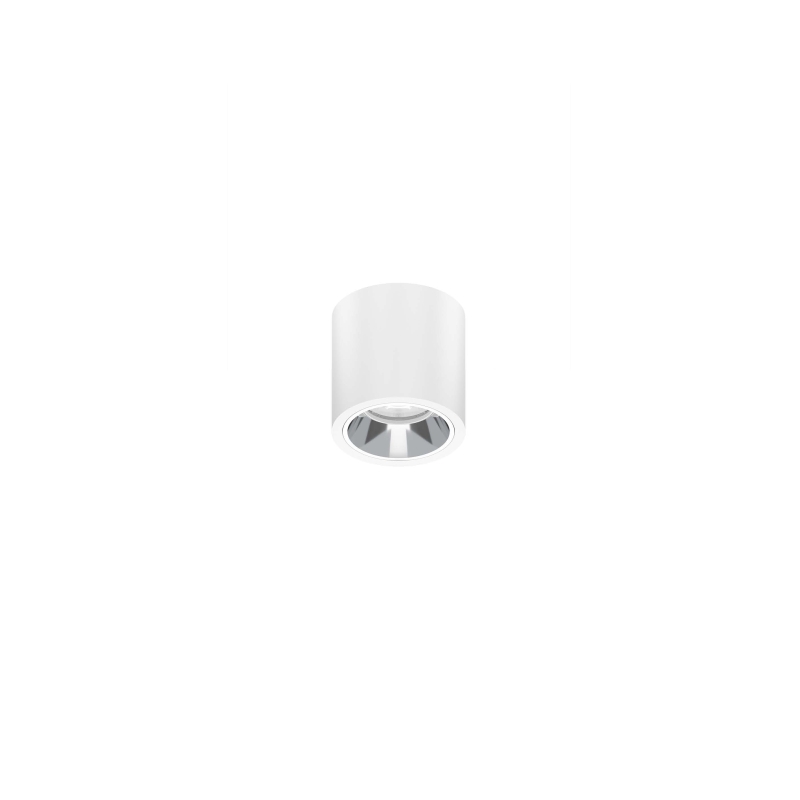 91.06012 CLA Surface Mounted Light